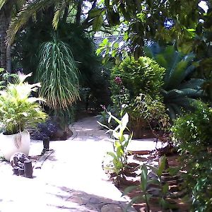 Etosha Garten Hotel